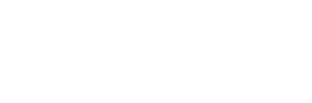 Mindful People Solutions LLC